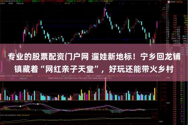 专业的股票配资门户网 遛娃新地标!宁乡回龙铺镇藏着“网红亲子天堂”,好玩还能带火乡村