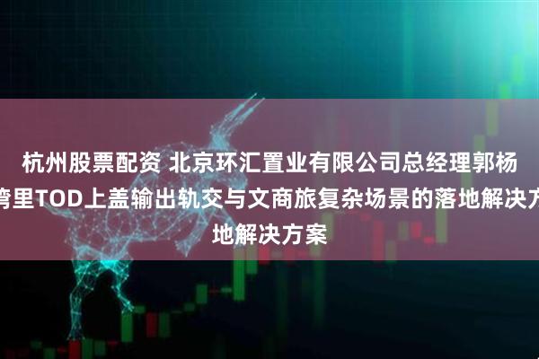 杭州股票配资 北京环汇置业有限公司总经理郭杨：湾里TOD上盖输出轨交与文商旅复杂场景的落地解决方案